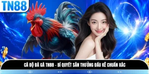 Cá Độ Đá Gà TN88 - Bí Quyết Săn Thưởng Đấu Kê Chuẩn Xác